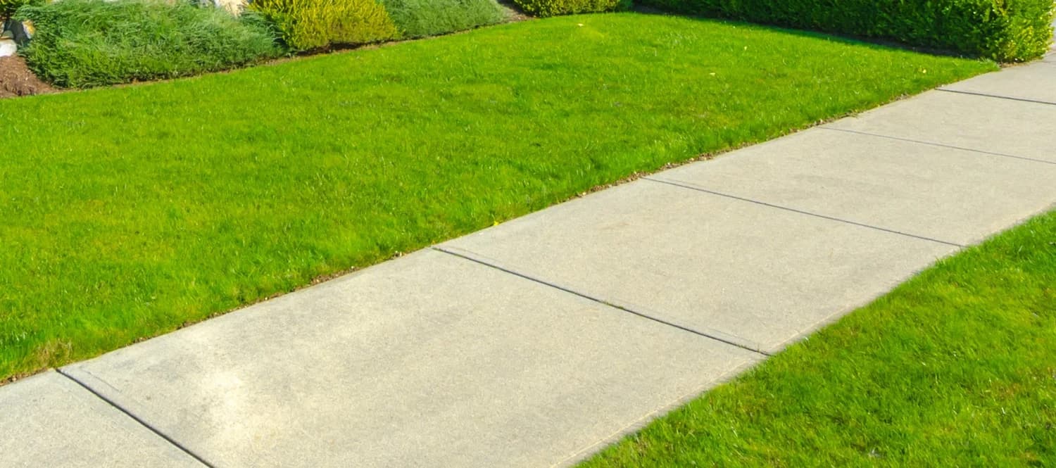 Bright green lawn meeting a clean concrete sidewalk